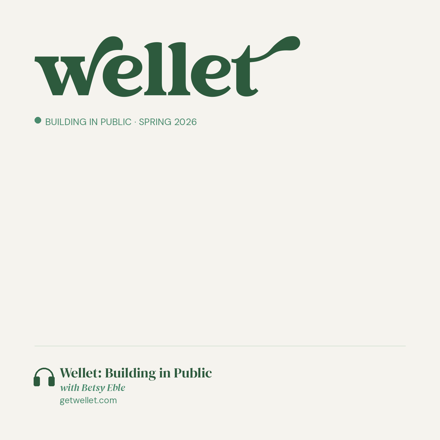 Wellet: Building in Public cover art